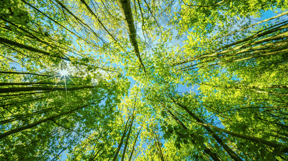 Bar Code Data Achieves ISO 14001 Certification
