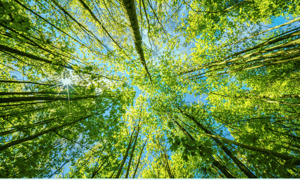Bar Code Data Achieves ISO 14001 Certification