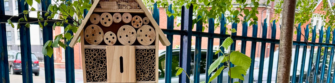 Bug Hotel at Bar Code Data Office